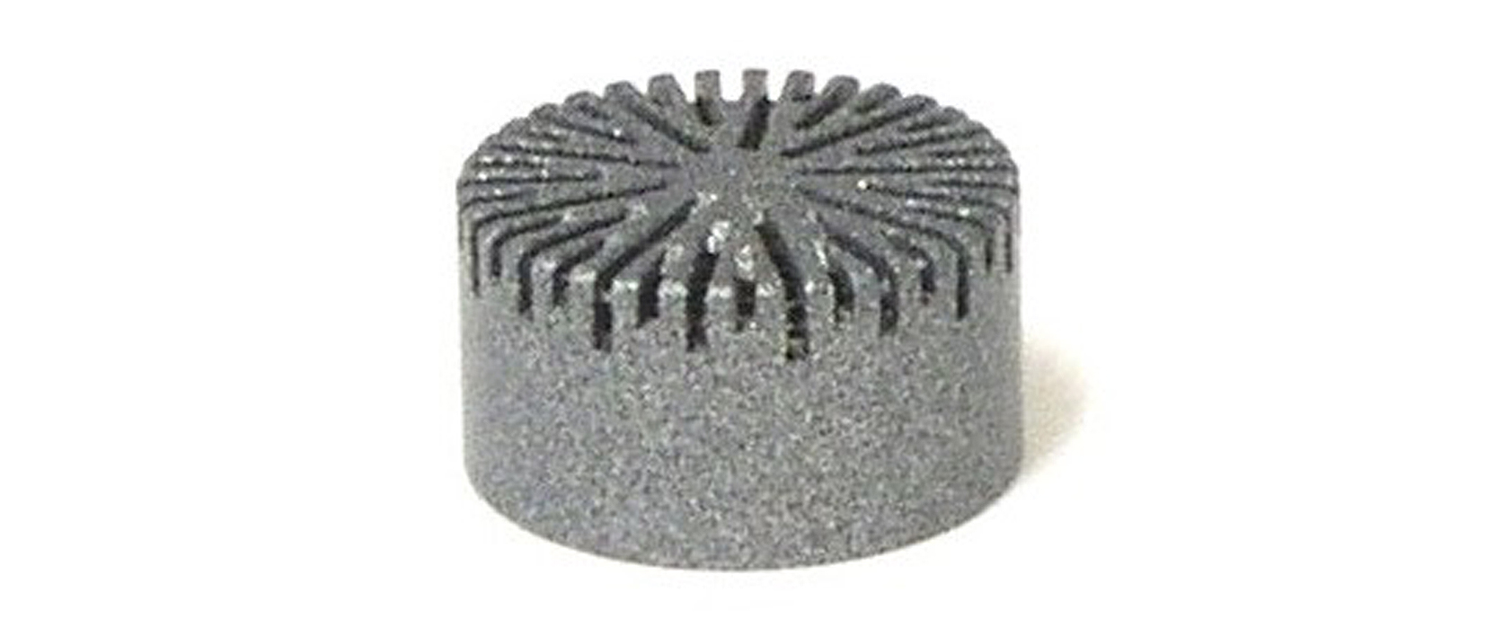 Lưới bảo vệ micro cách điện GRAS RA0091 1/2 inch